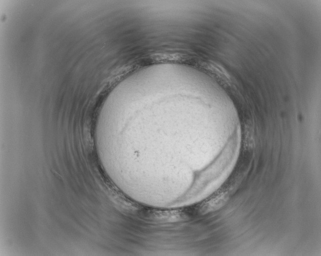 X0000058130377200510212052