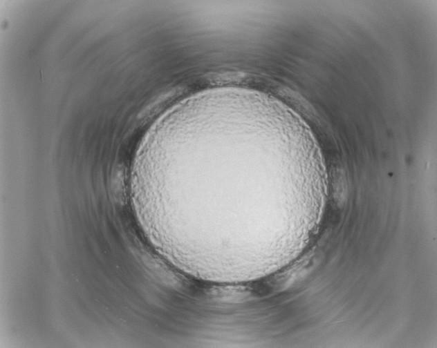 X0000058130378200510212052