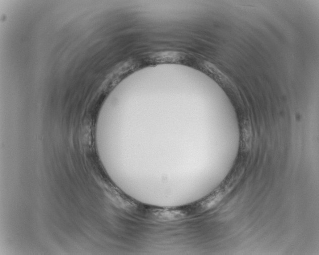 X0000058130379200510212052