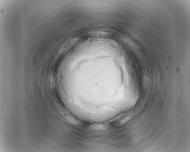 X0000058130381200510212052