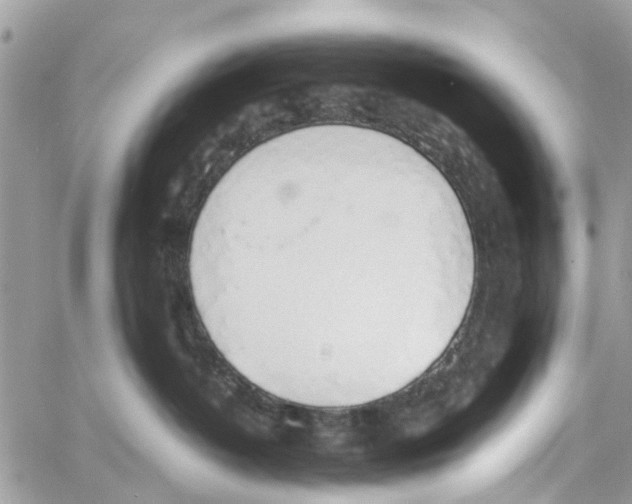 X0000058130382200510212052