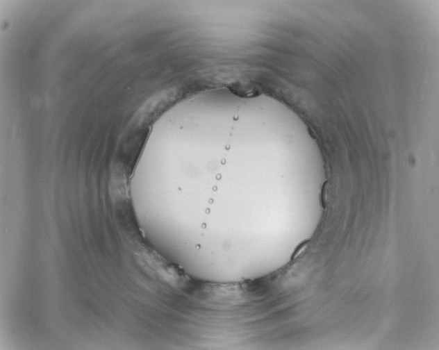 X0000058130384200510212052