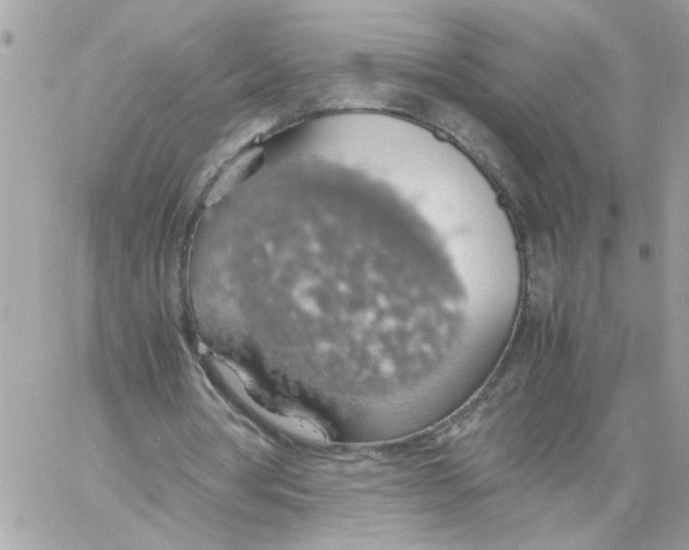 X0000058130386200510212051