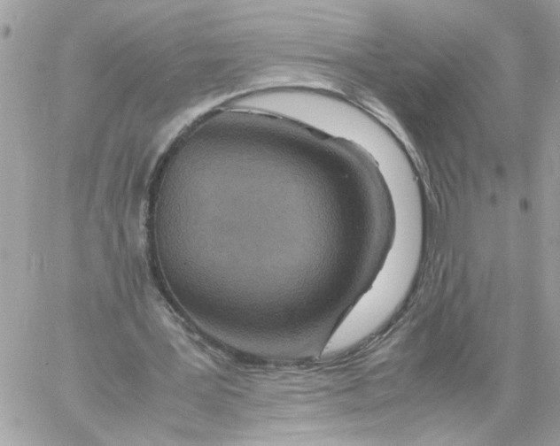 X0000058130387200510212051