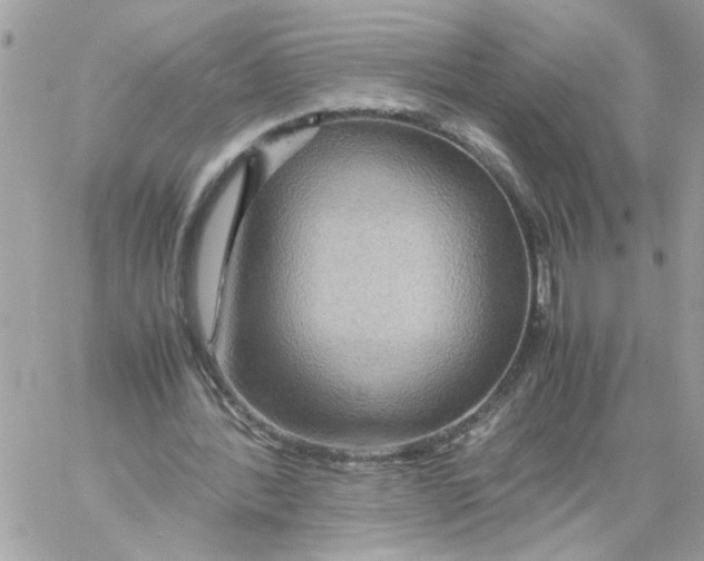 X0000058130388200510212051