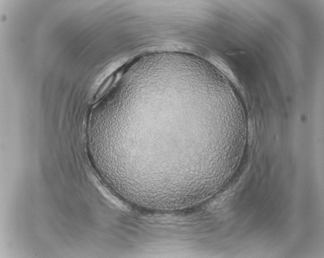 X0000058130389200510212051