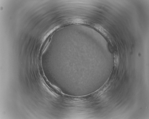 X0000058130390200510212051