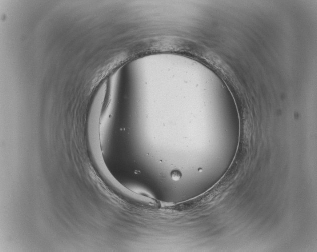 X0000058130393200510212051