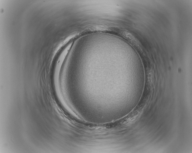 X0000058130395200510212051