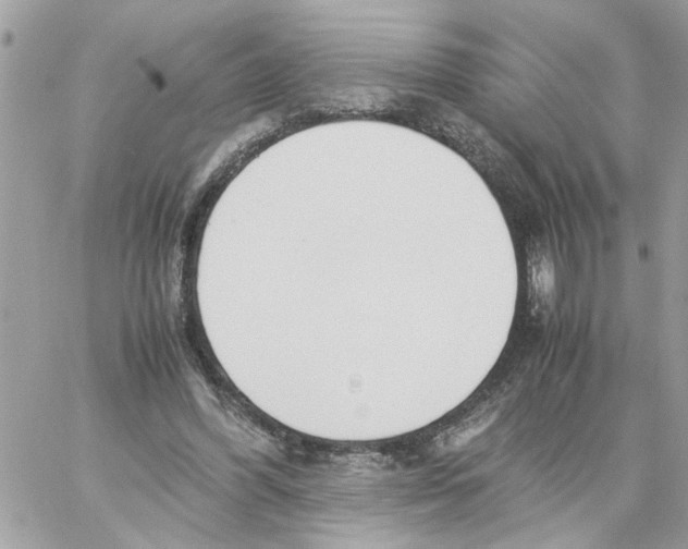 X0000058130396200510212051