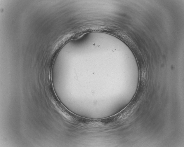 X0000058130397200510212051