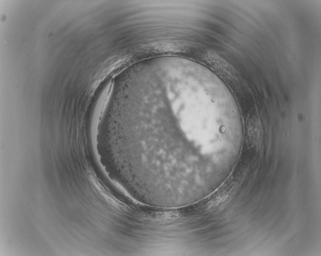 X0000058130398200510212051