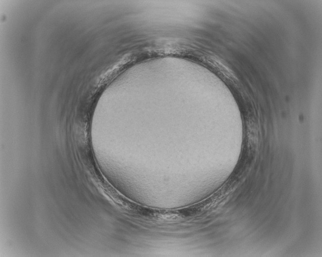 X0000058130401200510212051