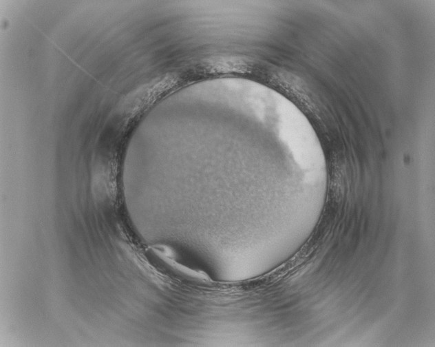 X0000058130402200510212051