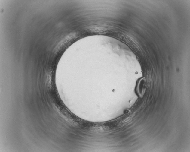 X0000058130404200510212051