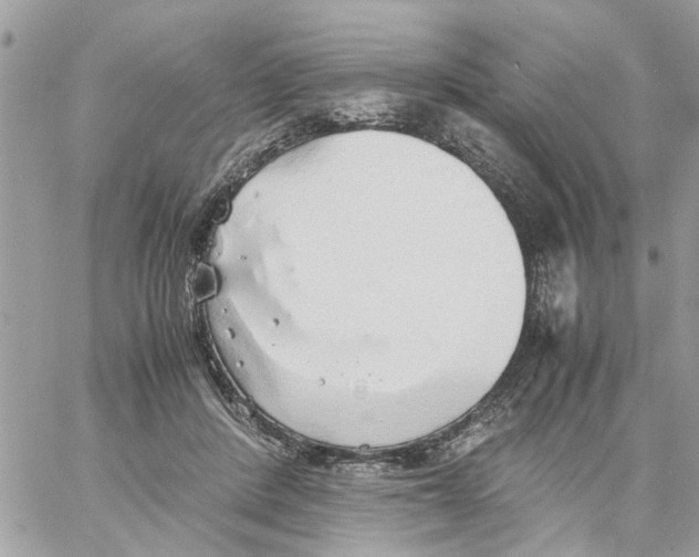 X0000058130408200510212051