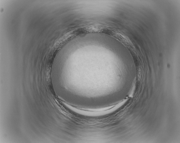 X0000058130409200510212051