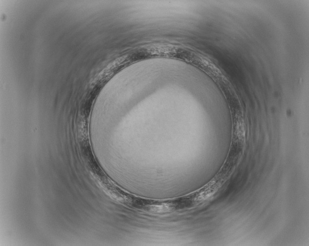 X0000058130411200510212050