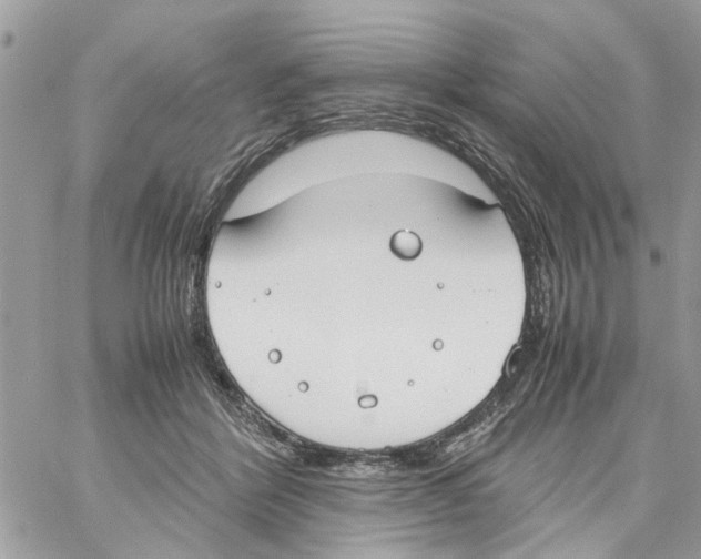 X0000058130412200510212050