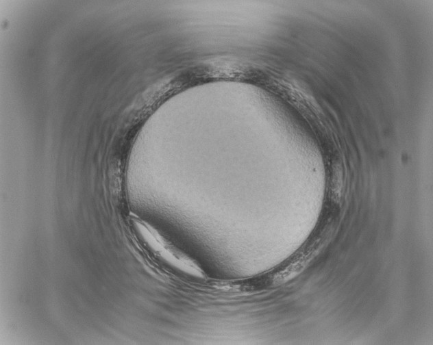 X0000058130413200510212050