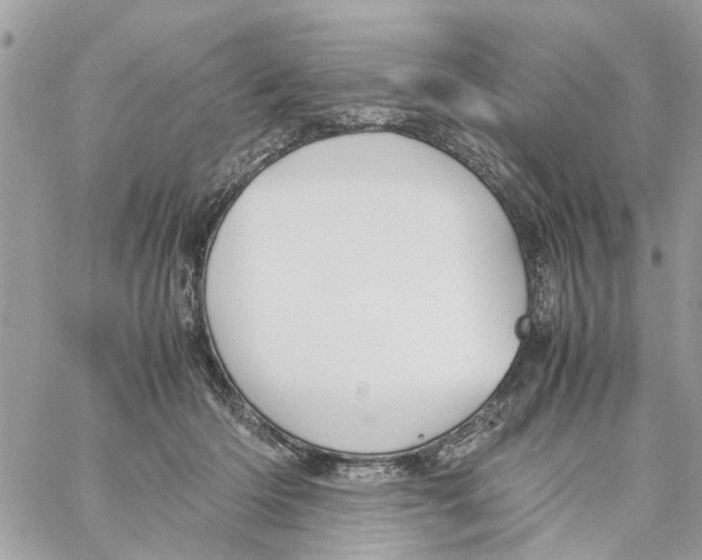 X0000058130414200510212050