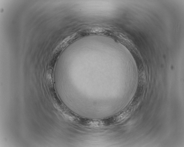 X0000058130415200510212050