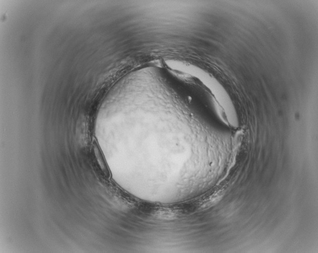 X0000058130416200510212050