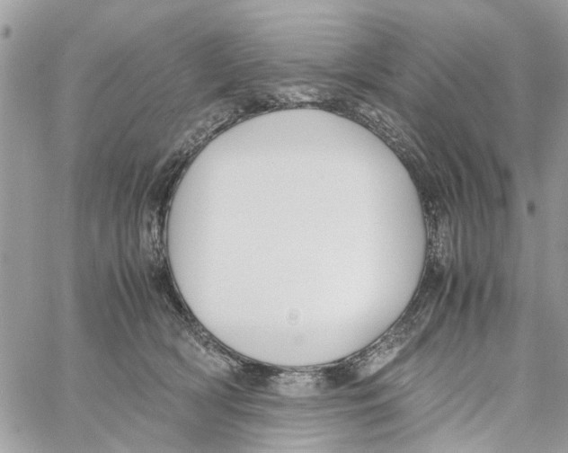 X0000058130418200510212050