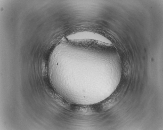 X0000058130420200510212050