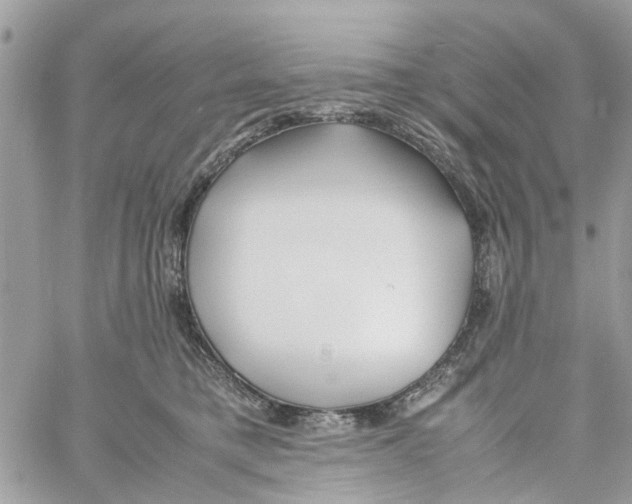 X0000058130421200510212050