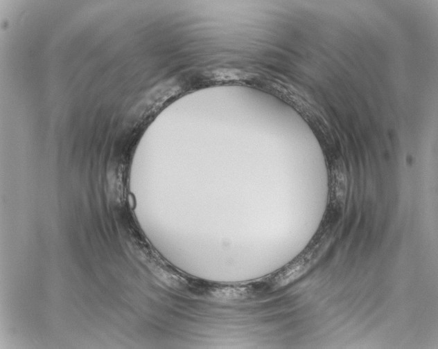 X0000058130422200510212050