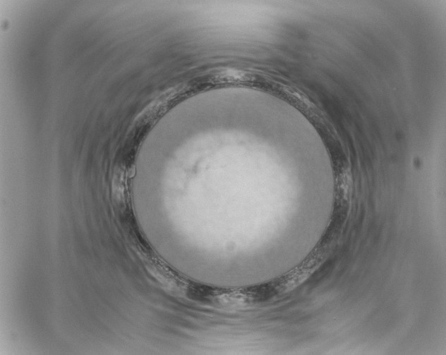 X0000058130423200510212050