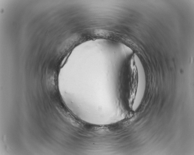 X0000058130424200510212050