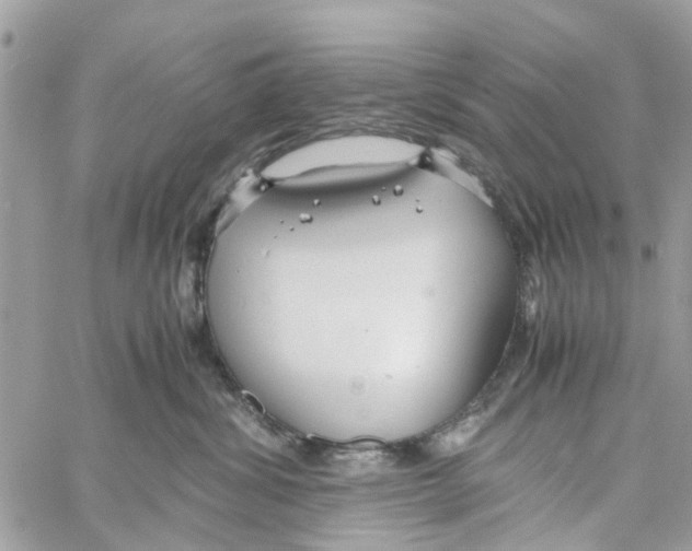 X0000058130428200510212050