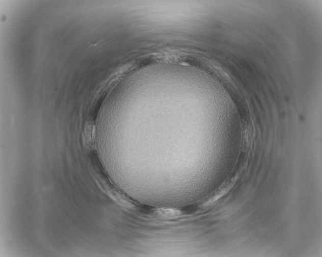 X0000058130429200510212050