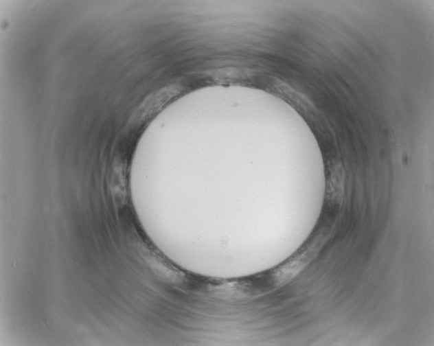 X0000058130430200510212050