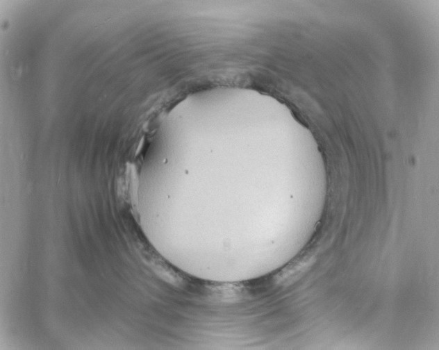 X0000058130432200510212050