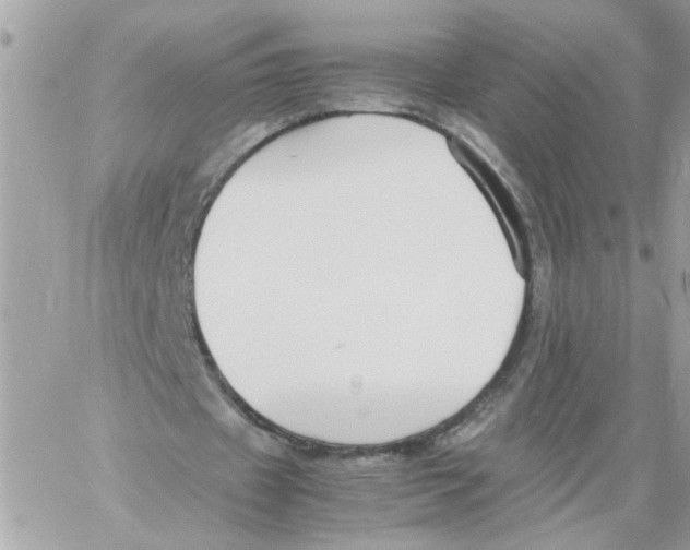 X0000058130433200510212049