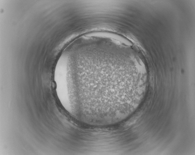 X0000058130434200510212049