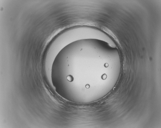 X0000058130436200510212049