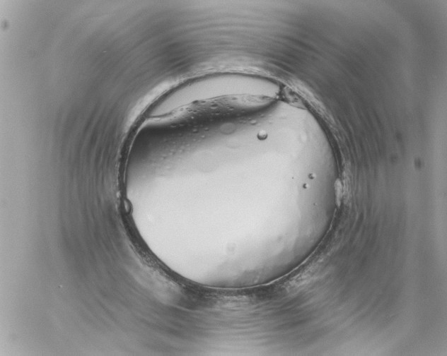 X0000058130438200510212049