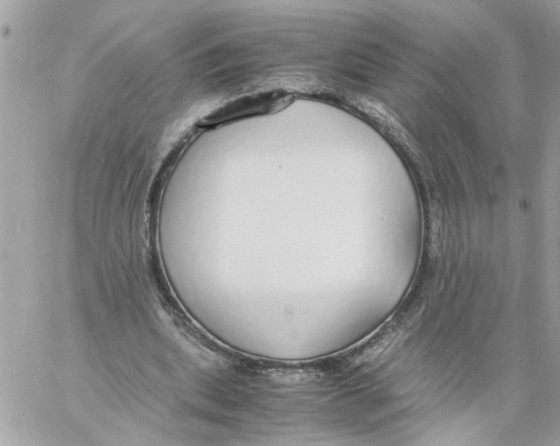 X0000058130439200510212049