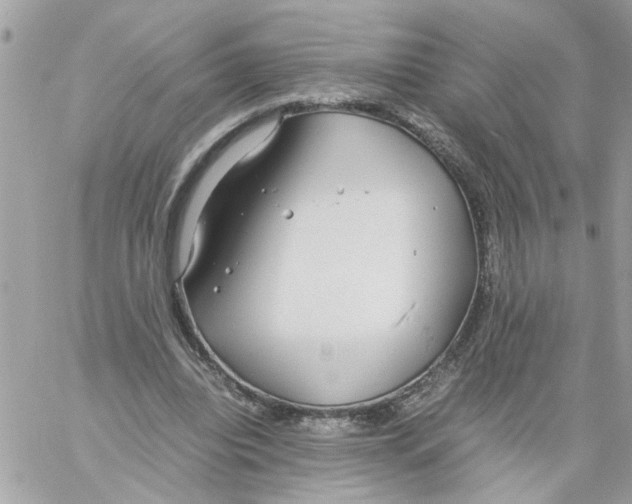 X0000058130440200510212049