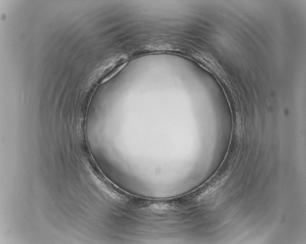 X0000058130441200510212050