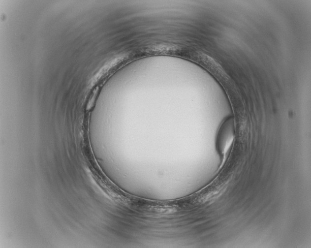 X0000058130443200510212050