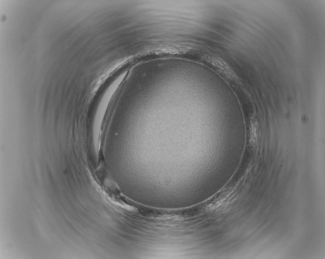 X0000058130444200510212050