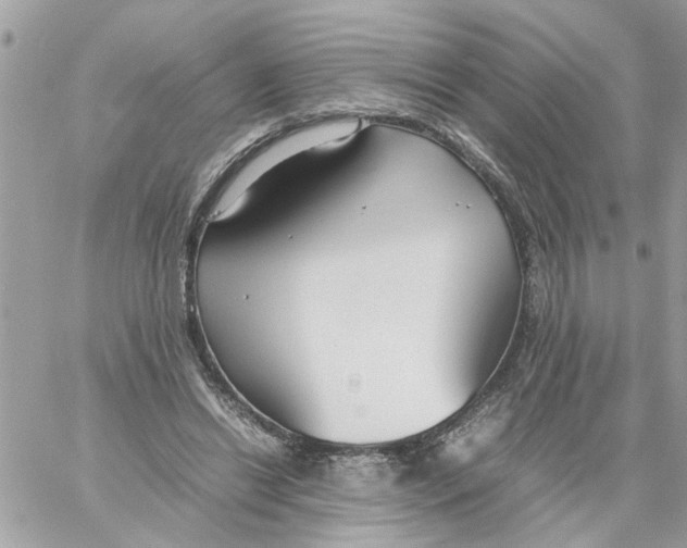 X0000058130446200510212050