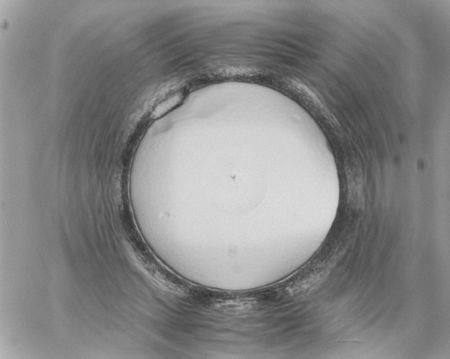 X0000058130447200510212050