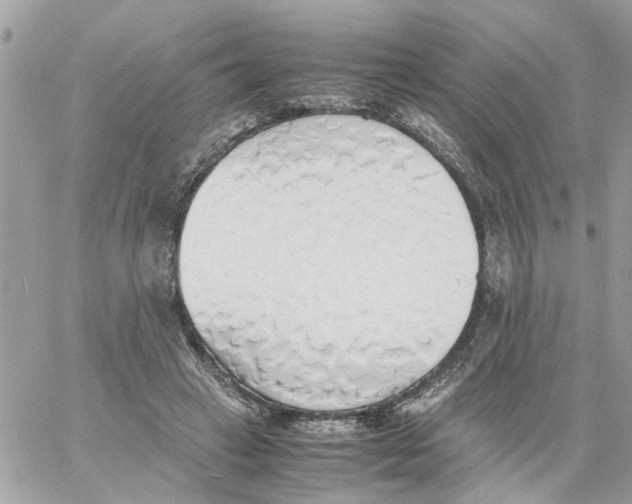 X0000058130449200510212050