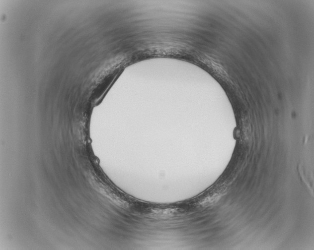 X0000058130450200510212050